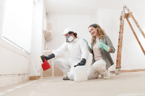 Best Asbestos and Lead Testing During Mold Inspection  in Makawao, HI