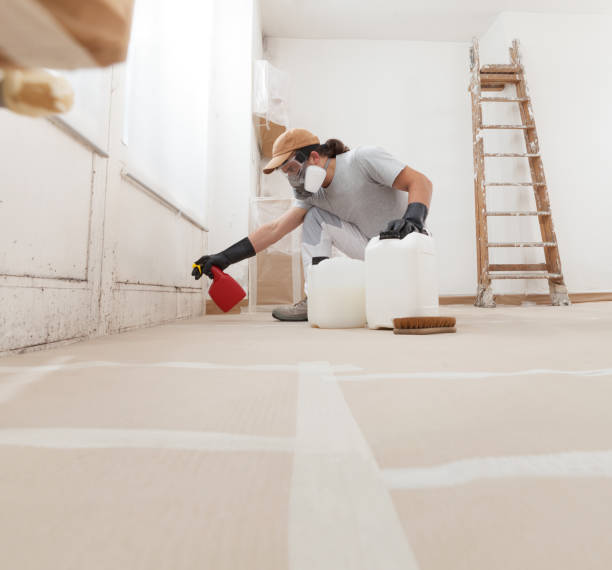Best Industrial Mold Remediation  in Makawao, HI